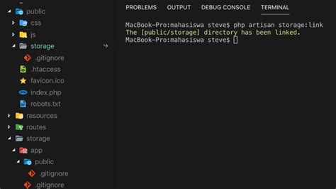 laravel storage chmod|laravel symbolic link.